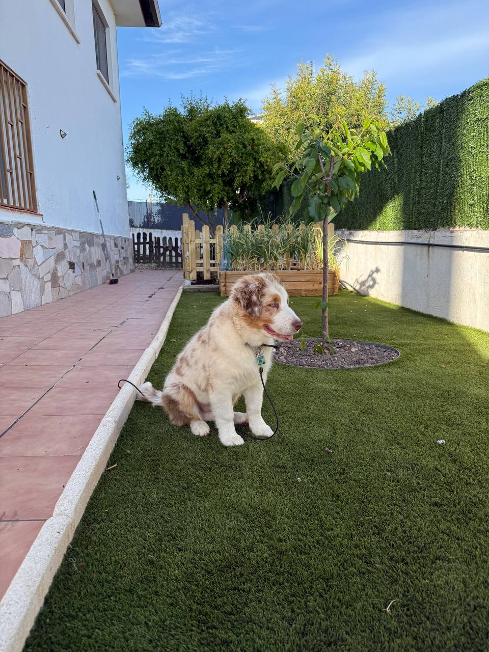 Dylan Villaverde de la Marina