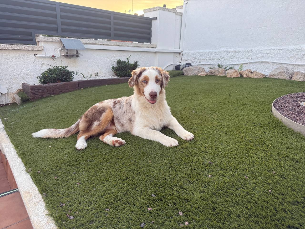 Dylan Villaverde de la Marina