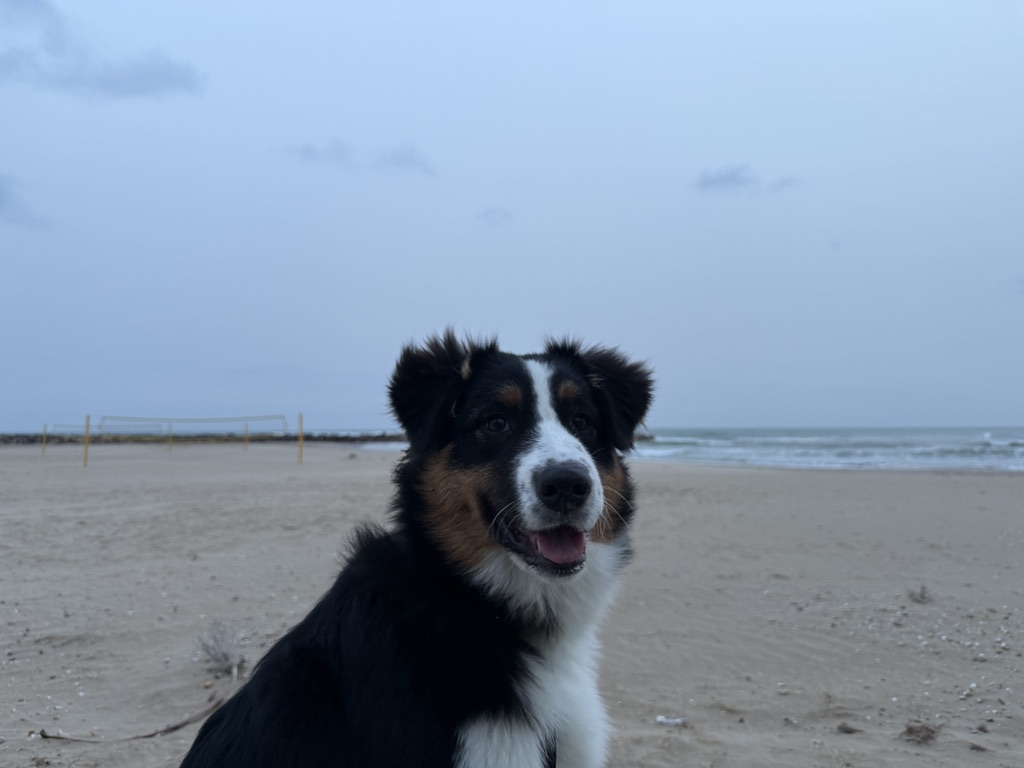 Retrato de Sky en la playa