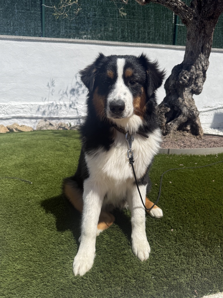 Retrato de Sky sentada al sol en el jardín
